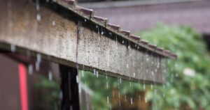 rain coming off the edge of a roof with trees in the background